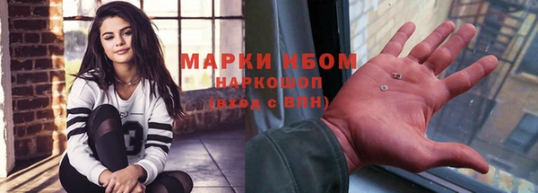 прущие грибы Абаза