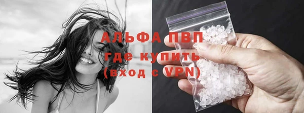 прущие грибы Абаза