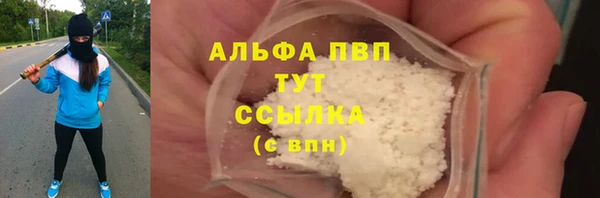 прущие грибы Абаза